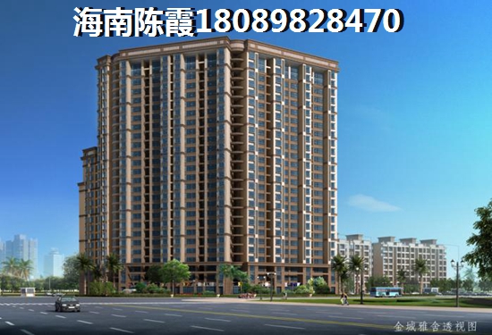 >2021乐东九所买房解析