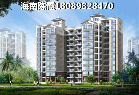 海口市2023发展前景醉好的区域