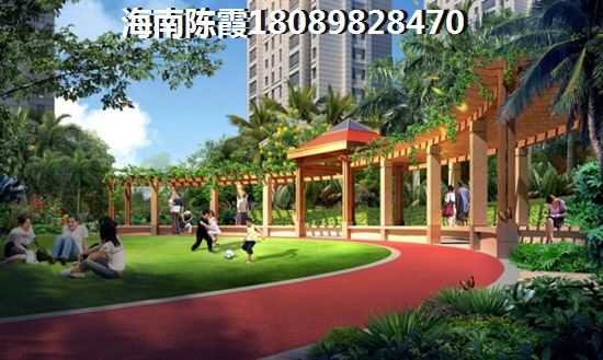海口市将来发展前景被看好