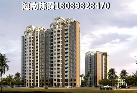 龙溪雅居开发商是谁以及实力如何，海南开发商哪个可靠？