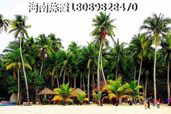 紫轩花苑房价均价怎么样，海南的房价2023年多少了~
