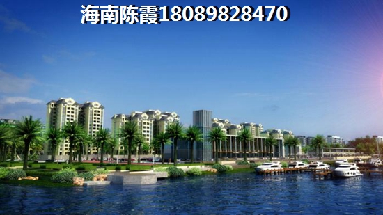 海地春天买不得