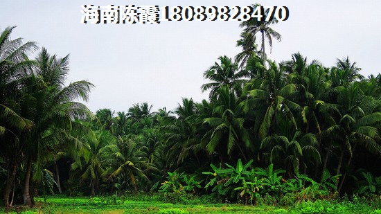 海南好环境无可置疑！