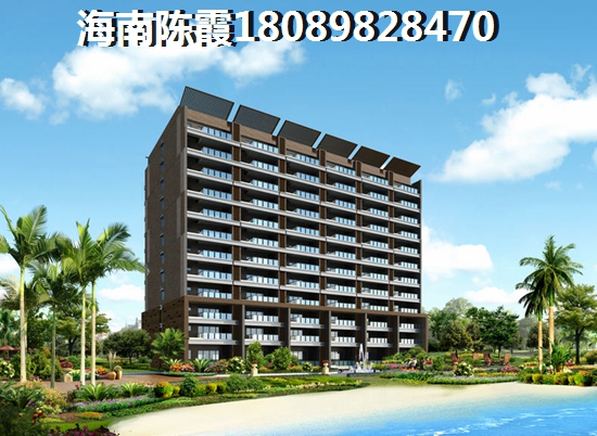 海口湾1号房子生纸空间介绍！2