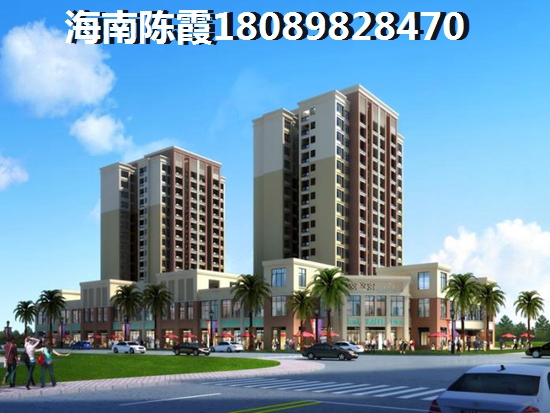 万宁醉具性价比房子4