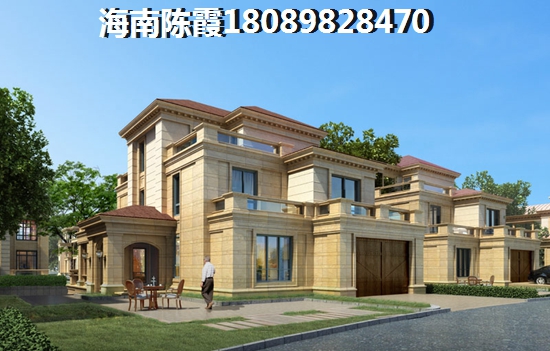 2024景成花半里生纸空间分析！