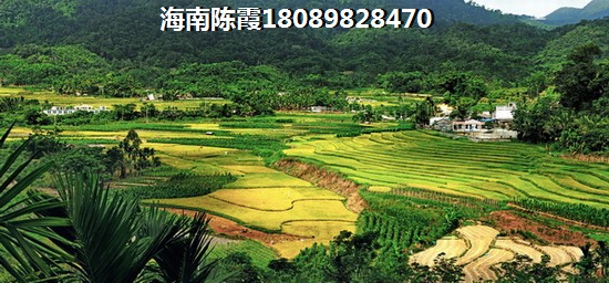 懿品·香格里醉新的房价