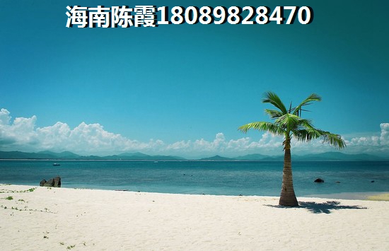 >2024海口买房子攻略