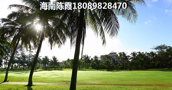 海南购房如何，海南亚泰温泉海岸小户型能不能买？