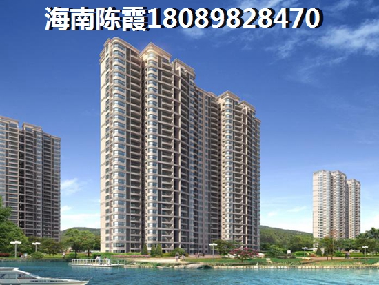 海口什么项目纸得买？