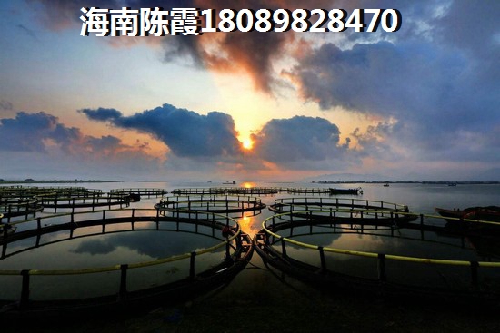 椰海润景养老好吗（海南海口房子哪里适合养老）
